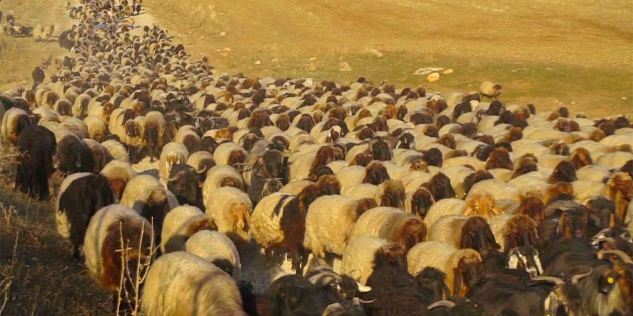 Göçerlerin zorlu dönüş yolculuğu başladı