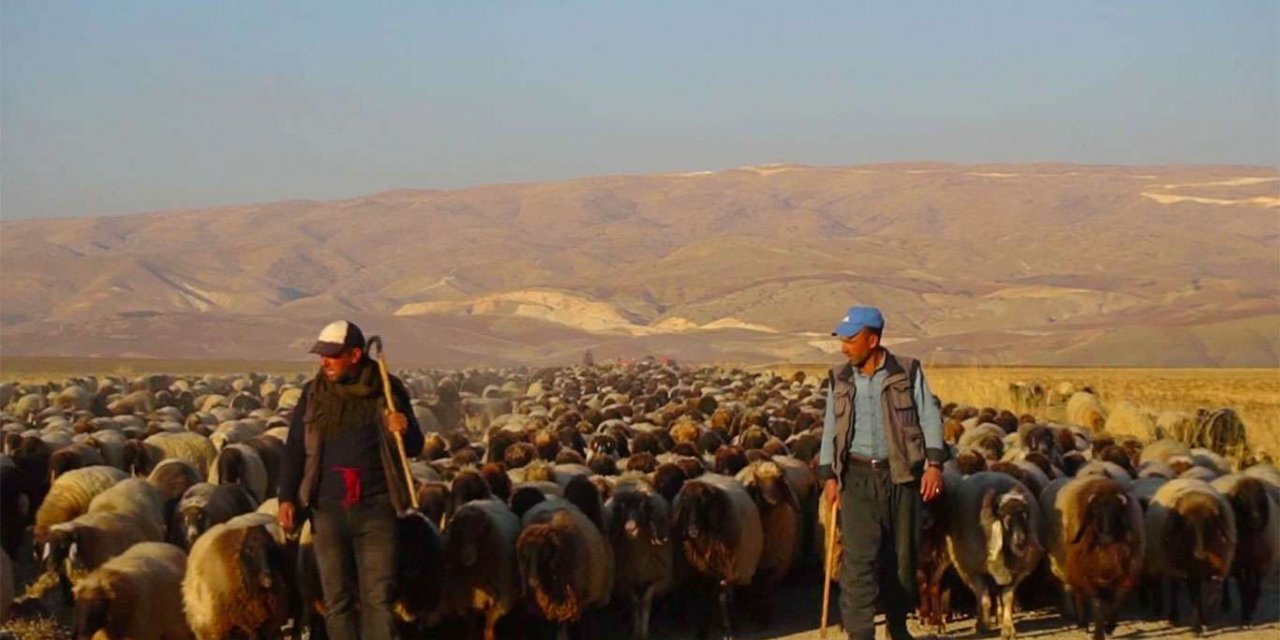 Rêwîtîya bi zor û zehmet a koçeran dest pê kir
