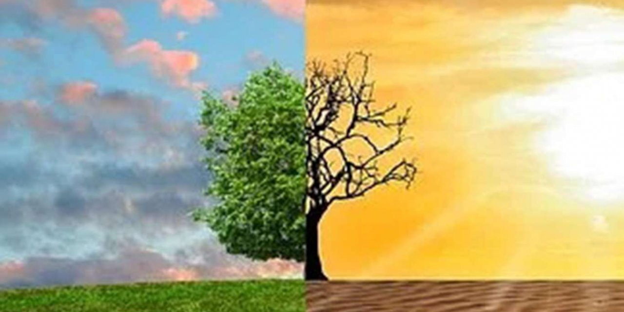 2020 yılı Kasım ayı en sıcak Kasım ayı olarak kayıtlara geçti