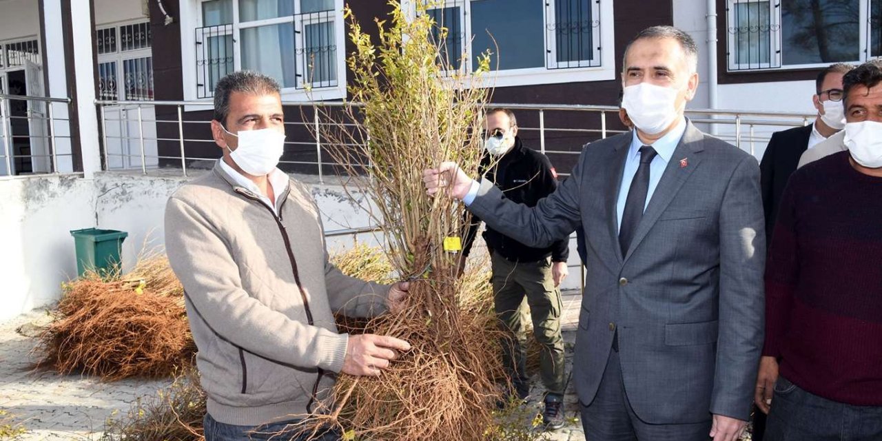Adıyaman'da çiftçilere 20 bin nar fidesi dağıtıldı
