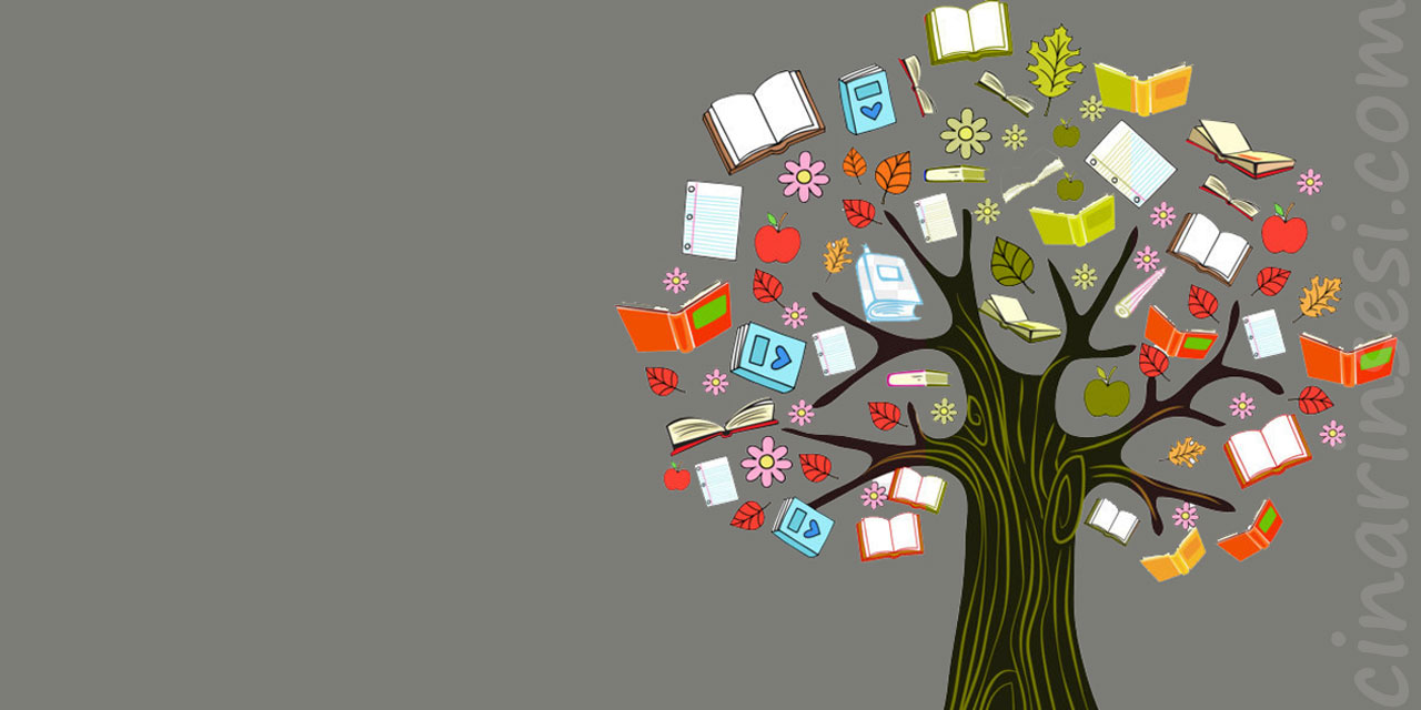 Çalışmalarımıza Kaynaklık Eden Bilgilerin Kaynağı Nedir?