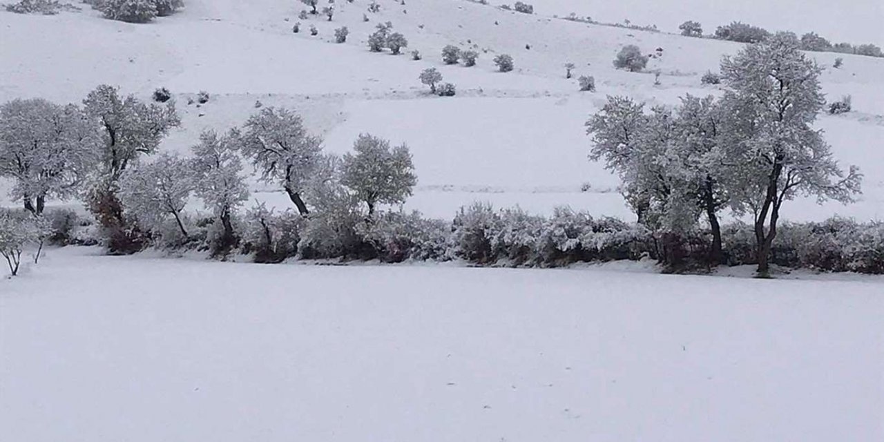 Elâzığ'da yağan kar 14 köy yolunu ulaşıma kapattı