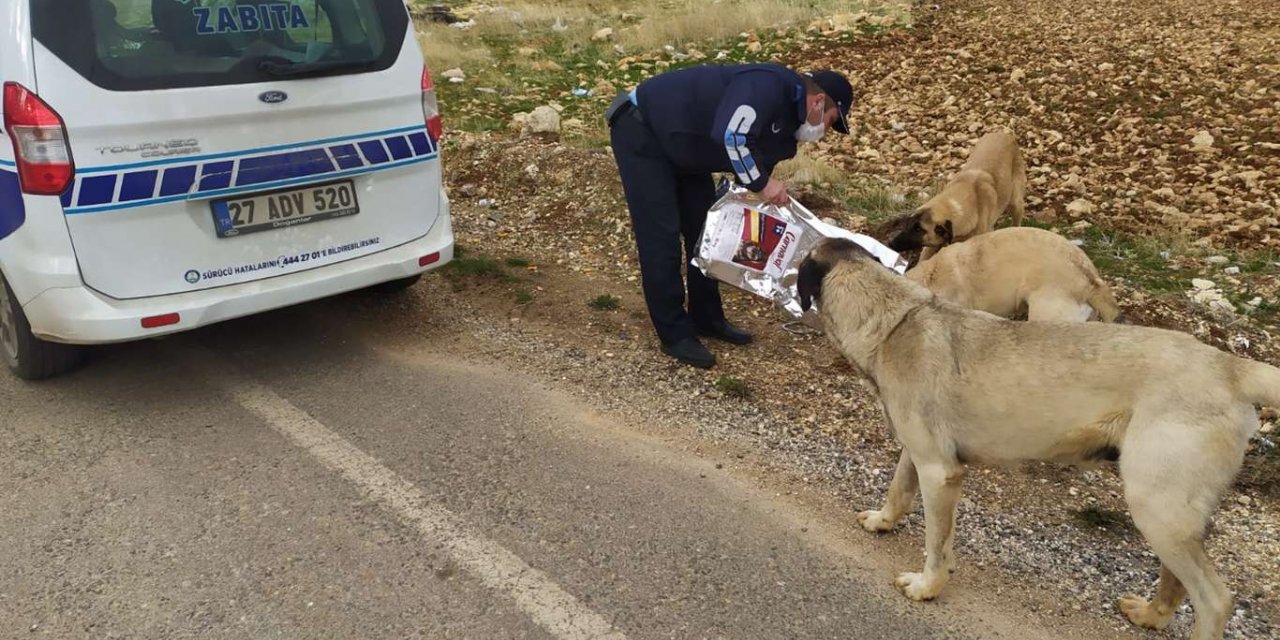 Gaziantep’te sokak hayvanlarına yiyecek bırakıldı