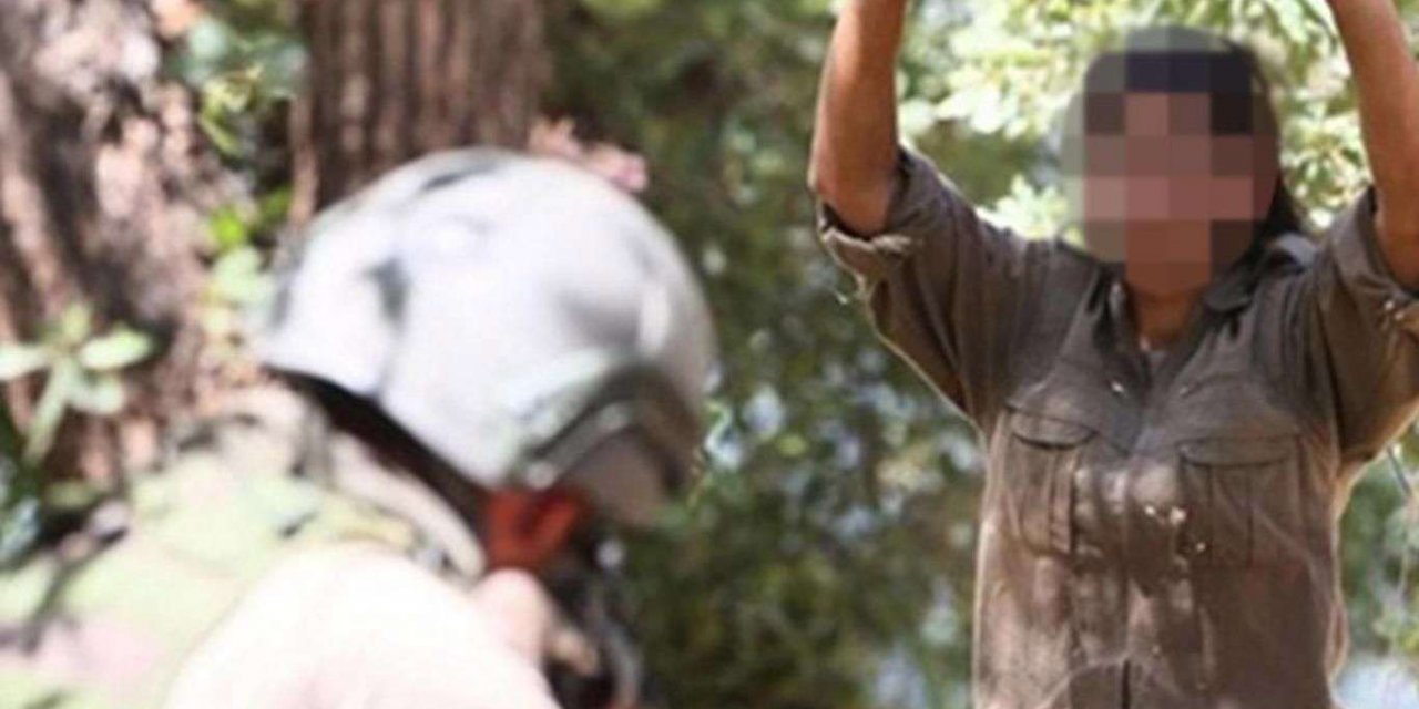 2 PKK mensubu daha teslim oldu