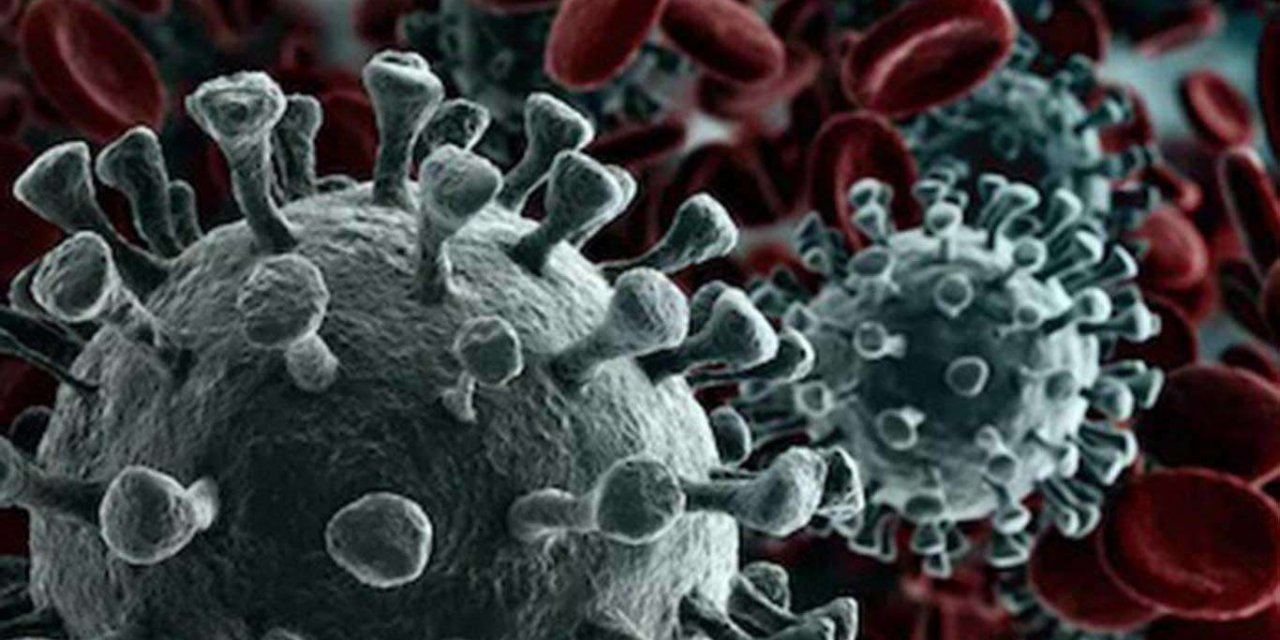 Koronavirusten korunmada kişisel önlemler büyük önem taşıyor