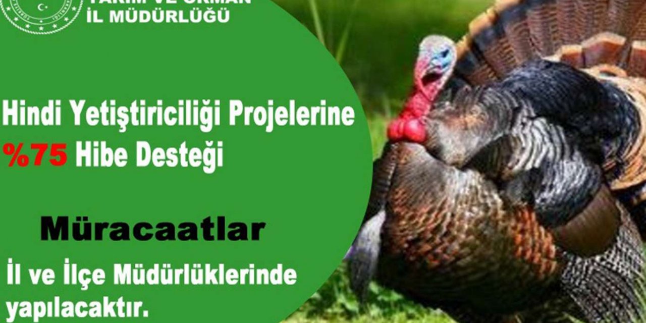 Tarım ve Orman Bakanlığından Hindi Yetiştiriciliği Projelerine yüzde 75 hibe desteği