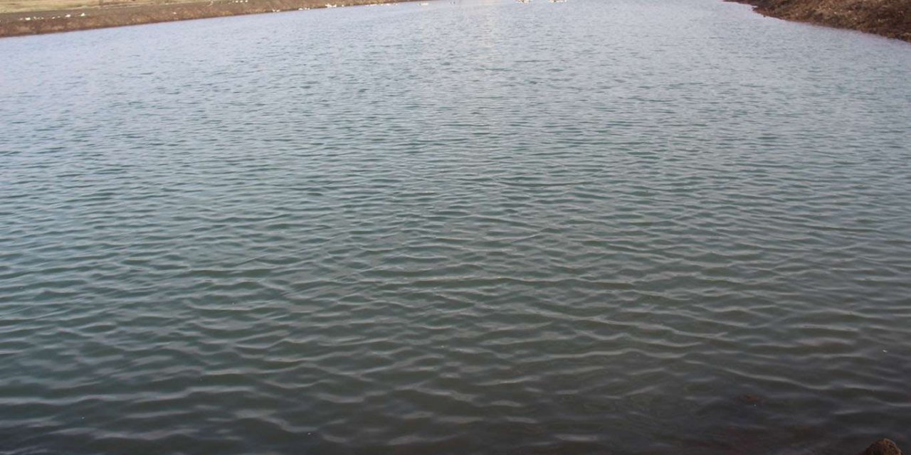 Diyarbakır'da 23 noktada hayvan içme suyu göletleri oluşturuluyor