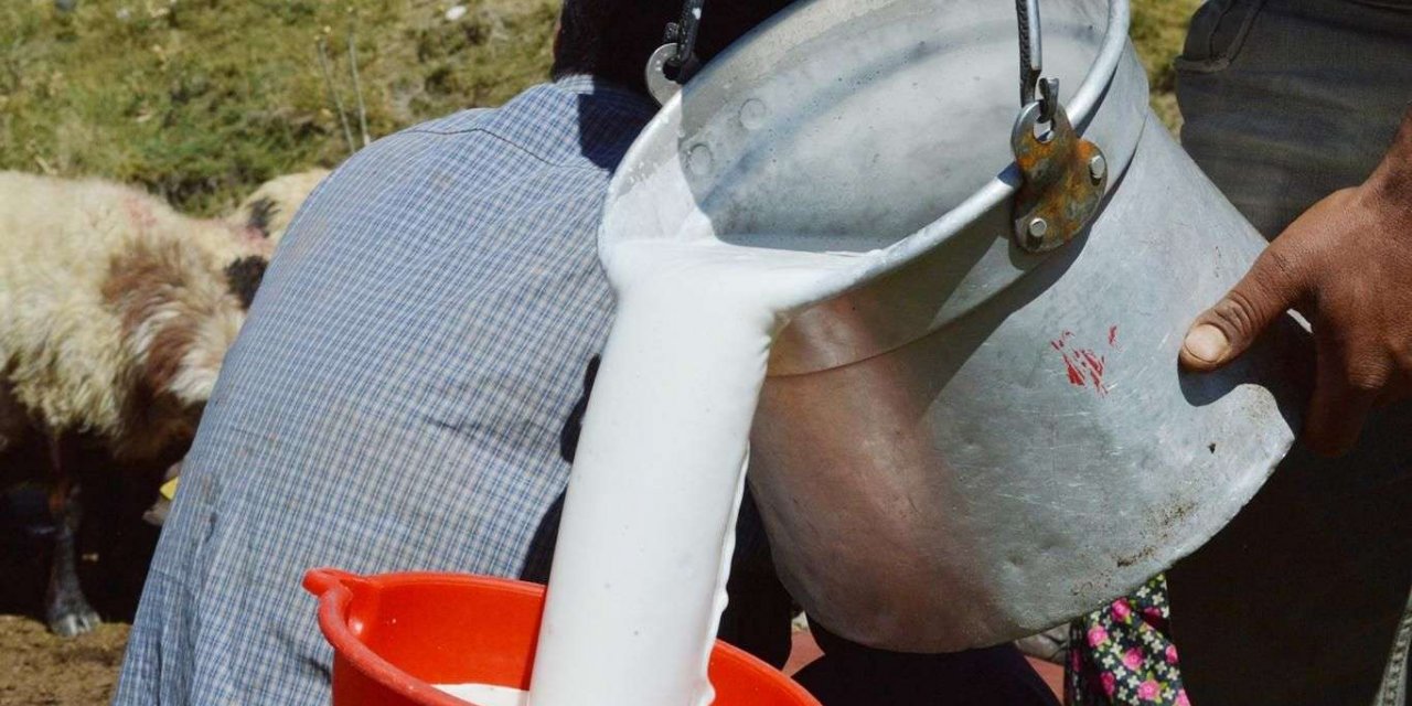 Bakan Pakdemirli'den çiğ süt tavsiye fiyatına destek açıklaması