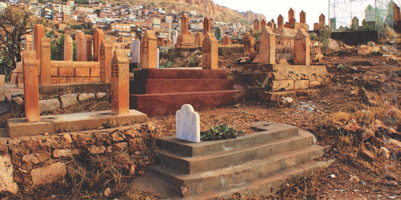 Madem Öleceğiz, Gelin Ölmeyelim (Tevafuk)