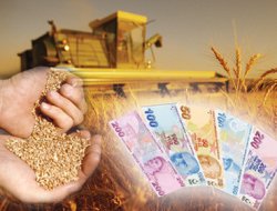 Üreticiye Ödenecek Desteklemeler Belli Oldu