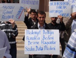 Müslüman gençler bu hayâsızlığı asla kabul etmez