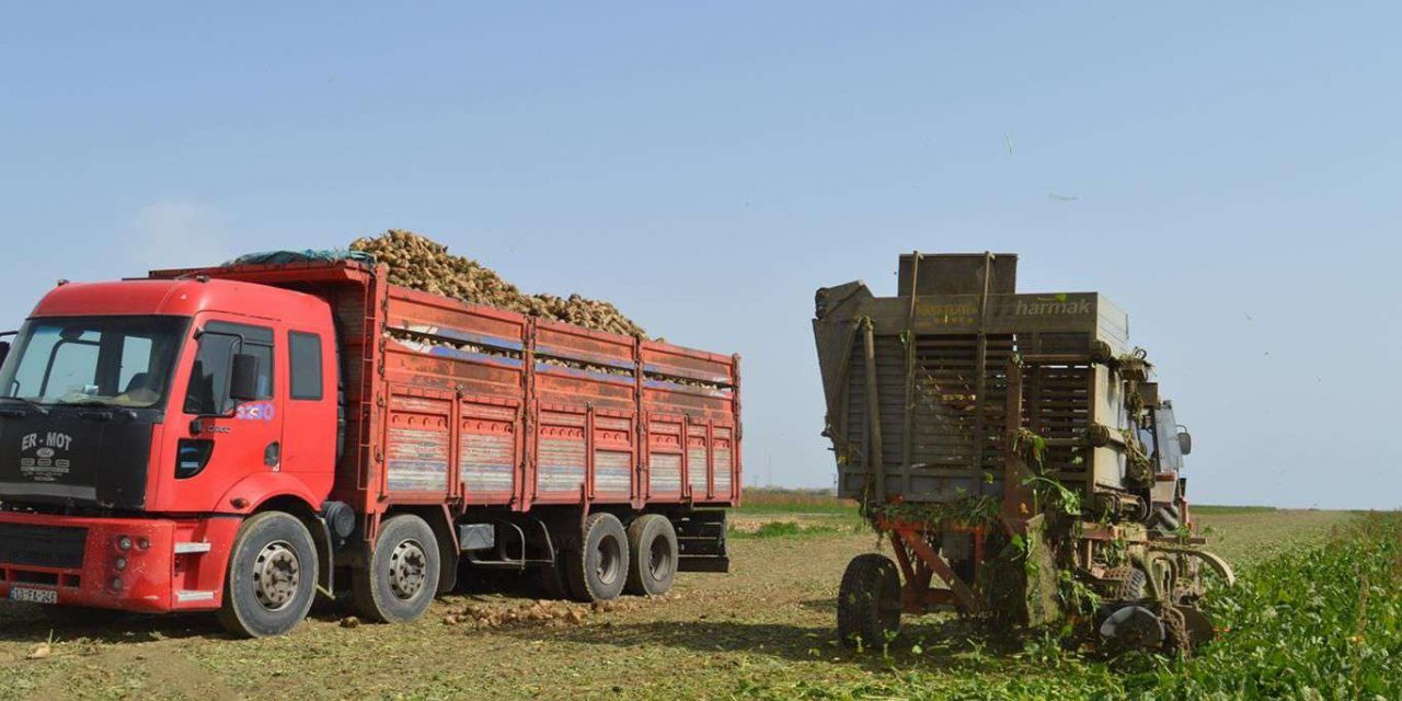 Muş Ovası tarım ve hayvancılıkta yeterli desteği bulamıyor