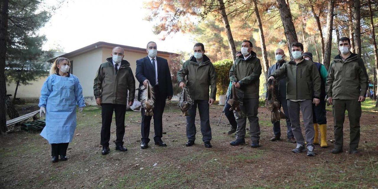 Gaziantep’te tedavisi tamamlanan kartal ve şahinler doğaya bırakıldı
