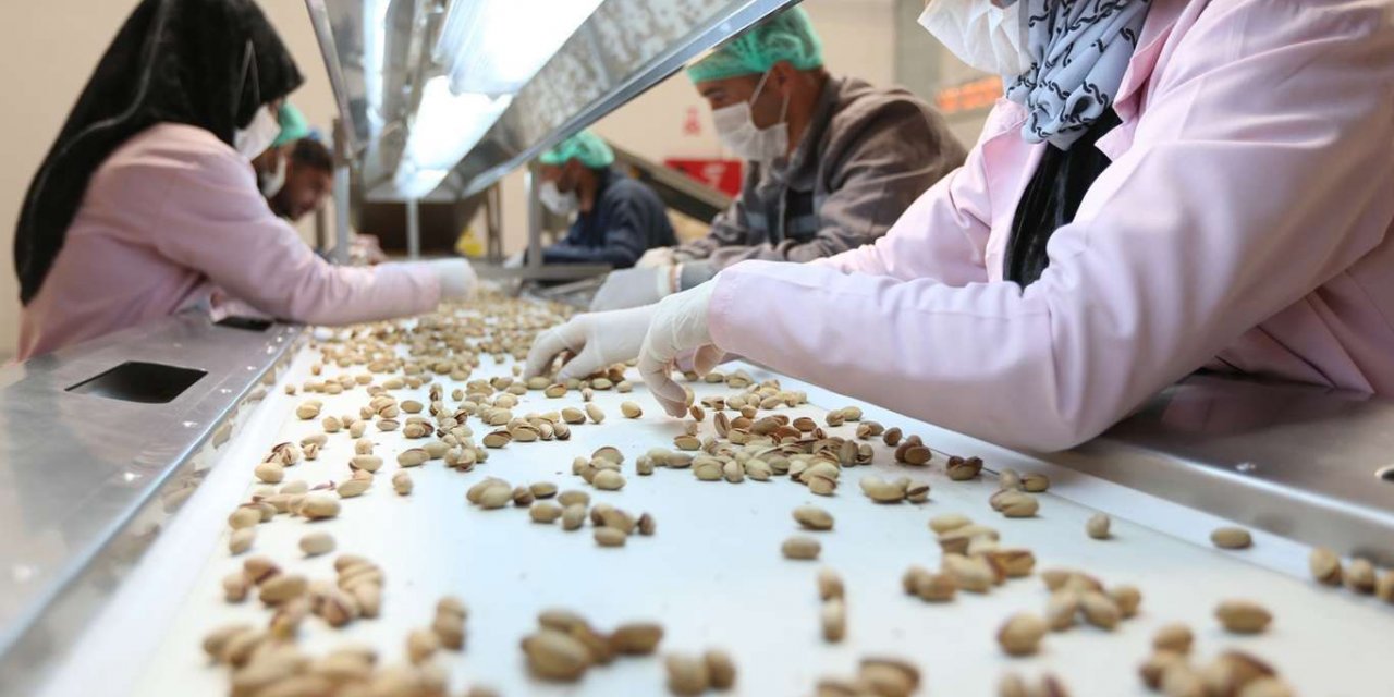 Siirt fıstığı kendi markasıyla ilk ihracatını gerçekleştirdi