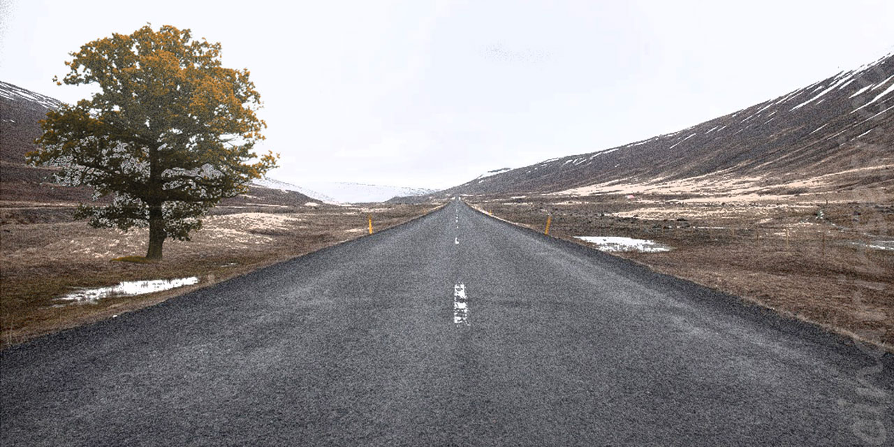 Bir Delinin Çırpınışları