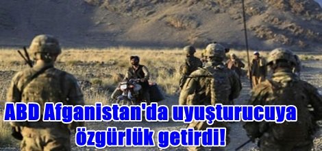 ABD Afganistan'da uyuşturucuya özgürlük getirdi!