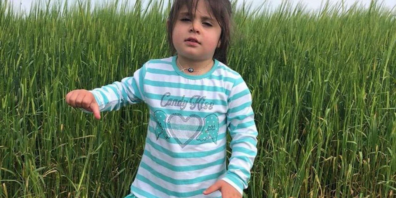 Leyla Aydemir'in amcası hakkında tahliye kararı