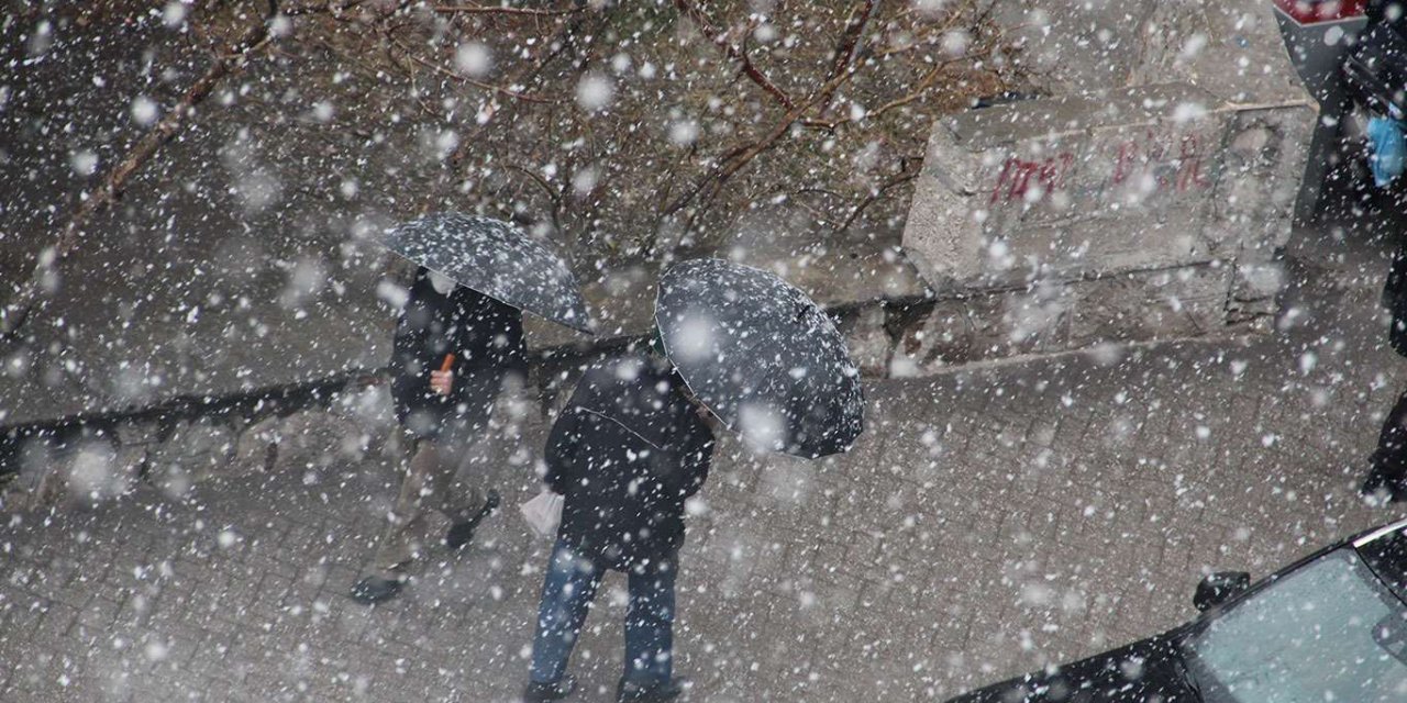 Van'da lapa lapa kar yağdı