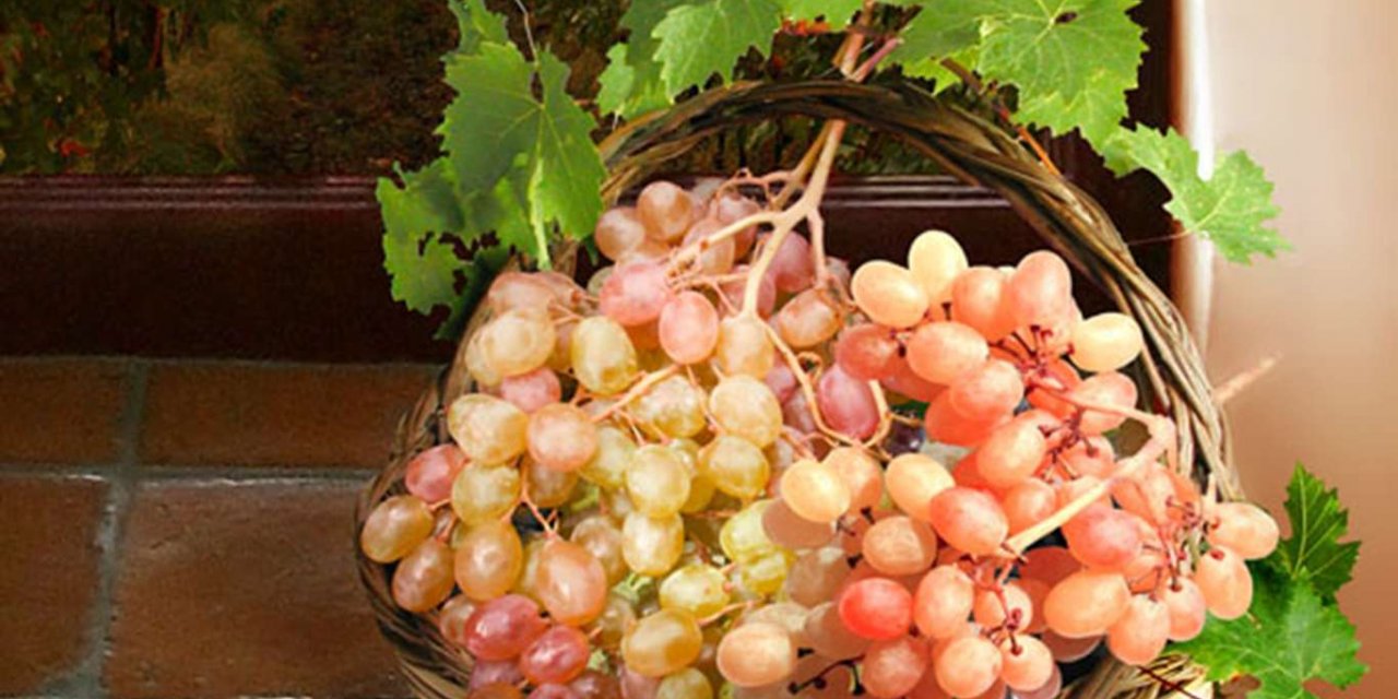 Siirt "Tayfi üzümü" için coğrafi işaret başvurusu yapıldı