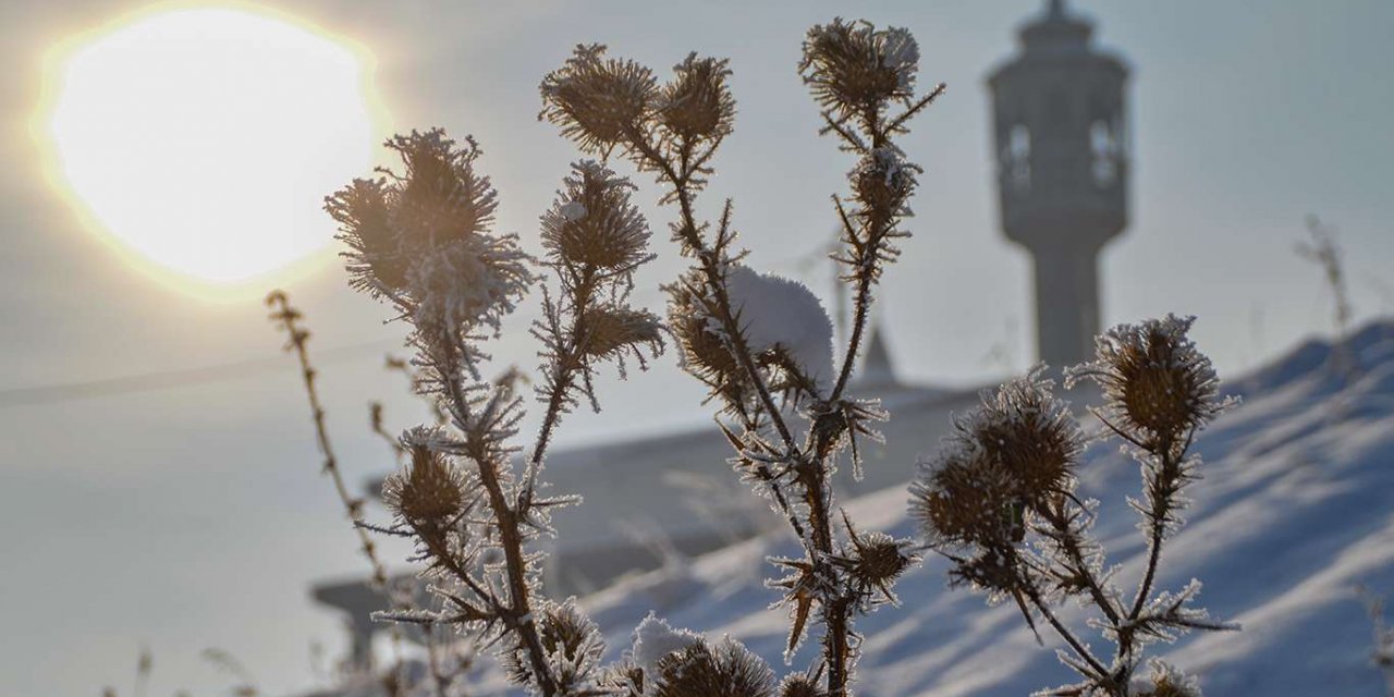 Ağrı eksi 24 dereceyle Türkiye'nin en soğuk ili oldu