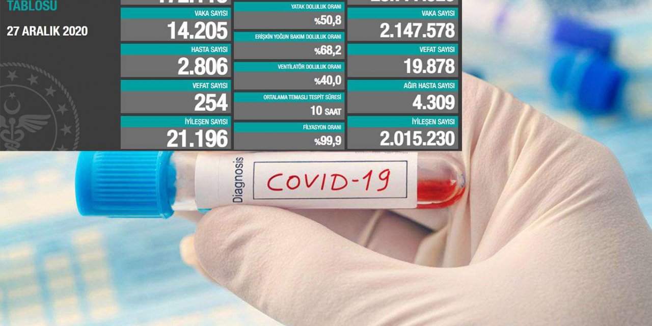 Türkiye'de son 24 saatte 254 kişi Covid-19'dan hayatını kaybetti