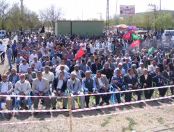 Ambar'da Kutlu Doğum coşkusu