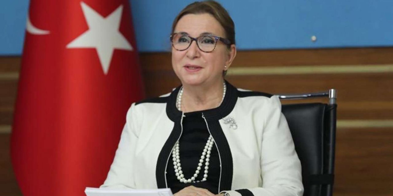 Ticaret Bakanı Pekcan'dan İngiltere ile ticaret anlaşması açıklaması