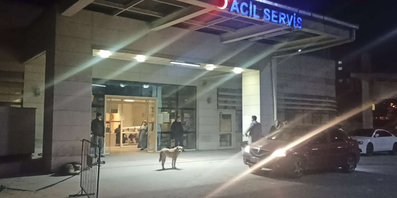 Hastane bahçesinde başıboş dolaşan köpekler hastaları tedirgin ediyor