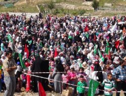 Çermik'te Kutlu Doğum coşkusu video