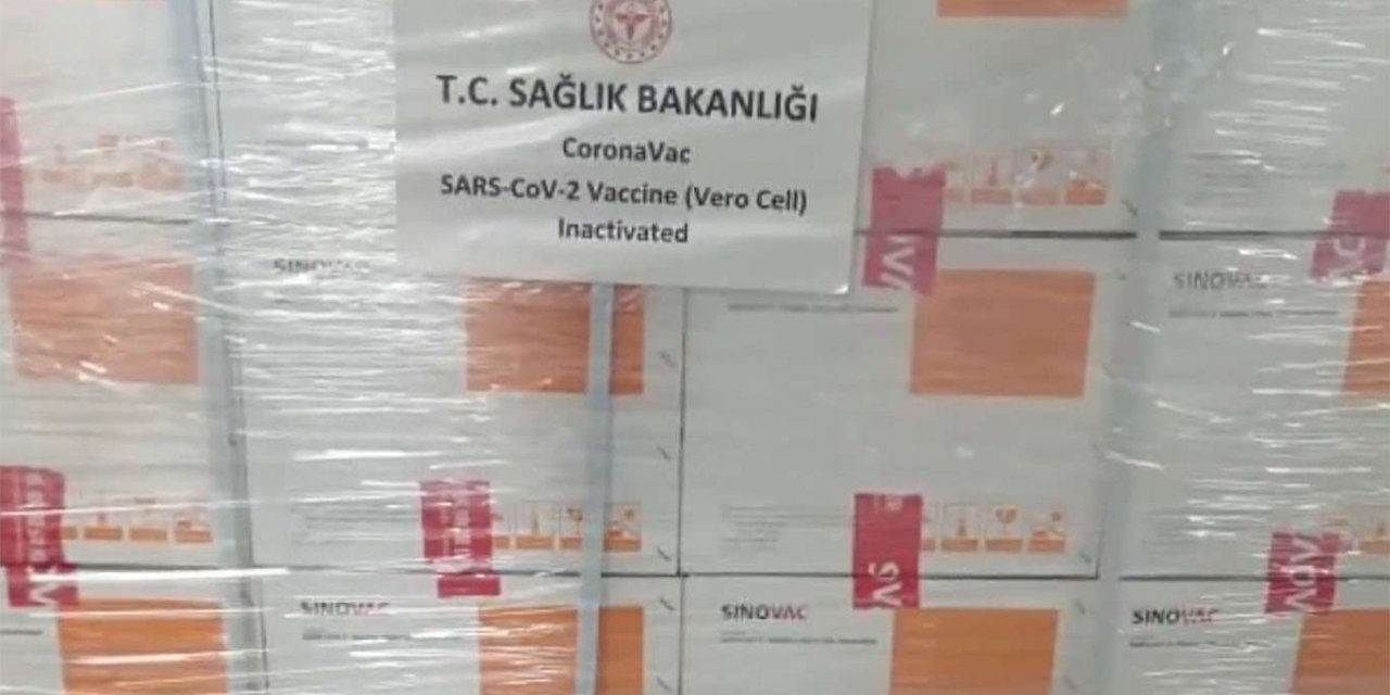 Chinese coronavirus vaccines arrive in Turkey