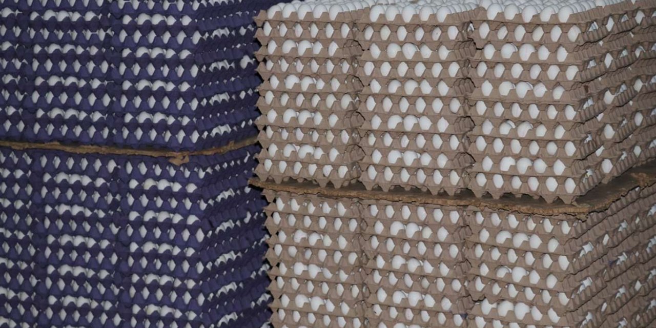 Yumurta fiyatları neden arttı?