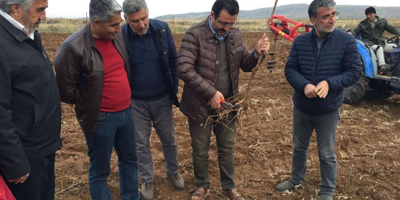 Siirt'te fıstıktan sonra badem ve ceviz yetiştiriciliği yaygınlaşıyor