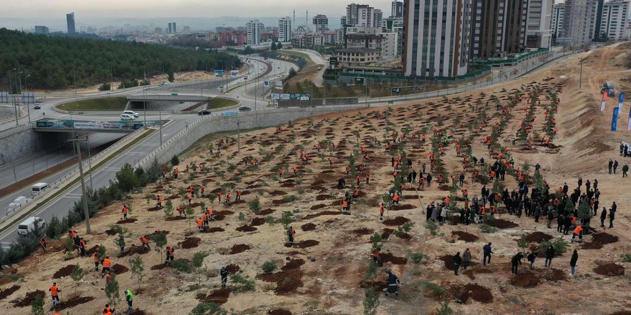 Gaziantep'te fidan dikimi yapıldı