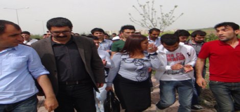 Saldırıları PKK/DTK/BDP organize ediyor