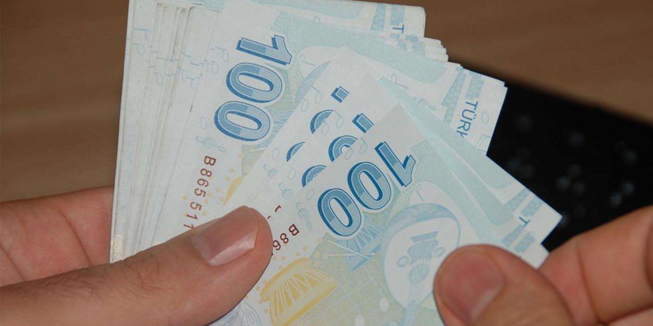 Kira ve hibe desteği başvurusu sonuçları e-Devlet üzerinden açıklanacak