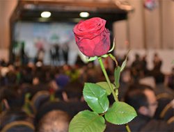 Li Ewrûpayê Coşa Mewlûdê