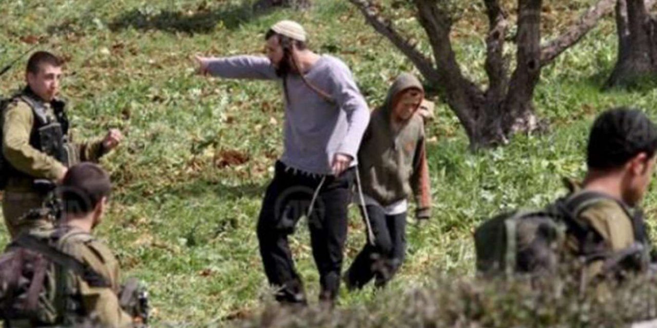 Filistin topraklarını işgal eden siyonistler Filistinlilere ait zeytin fidanlarını çalıyor