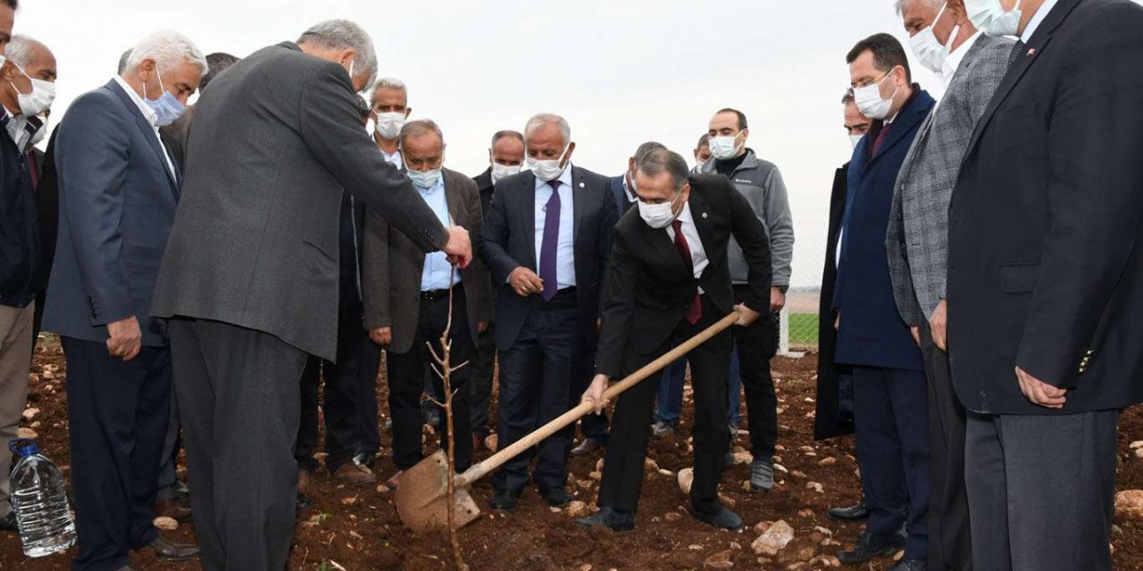 Adıyaman'da model badem bahçesi kuruldu