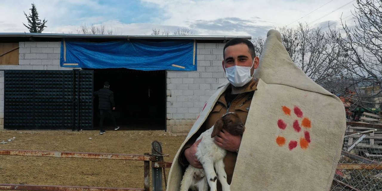 Hayvan yetiştiricilerine küçükbaş hayvan desteği