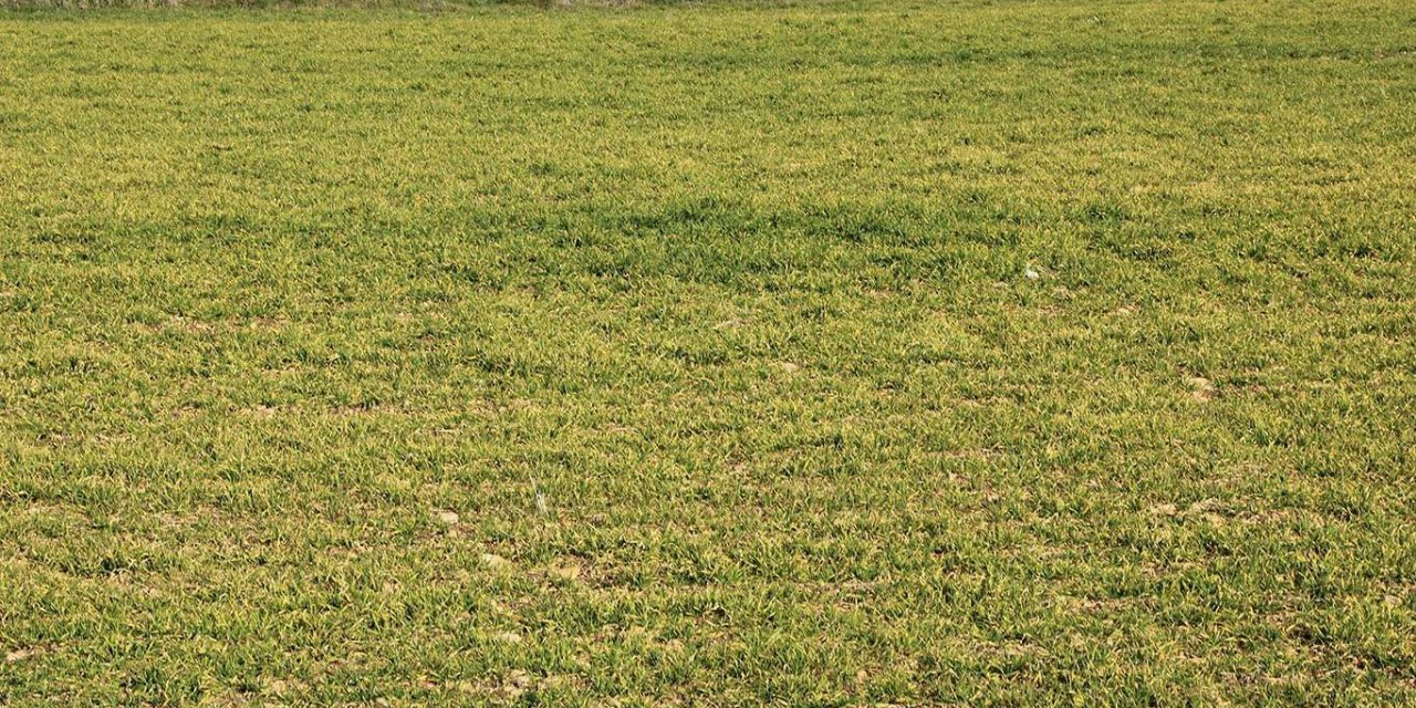 Adıyamanlı çiftçiler barajdan faydalanamadıklarını dile getirdi