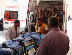 Nusaybin'de kaza: 2 ölü 4 yaralı