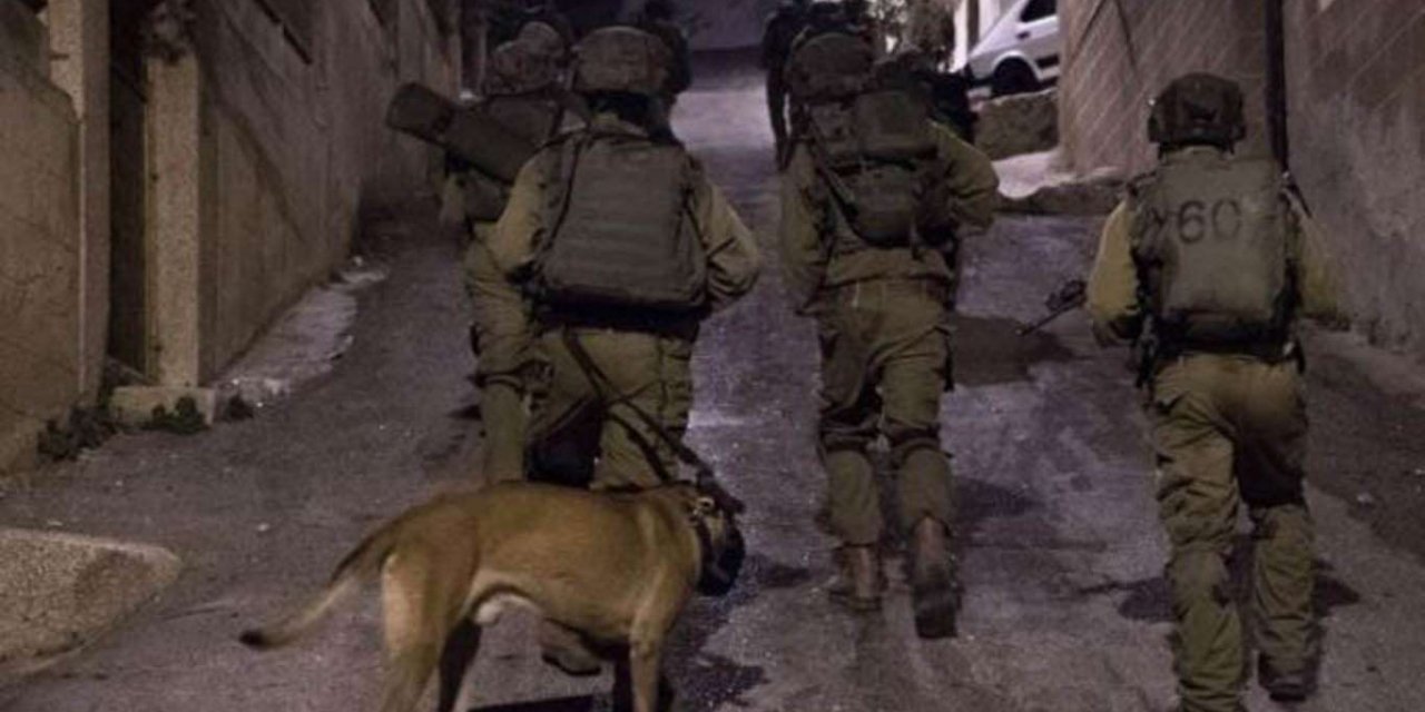 ZOF kidnaps 12 Palestinians in Jerulem and al-Khalil