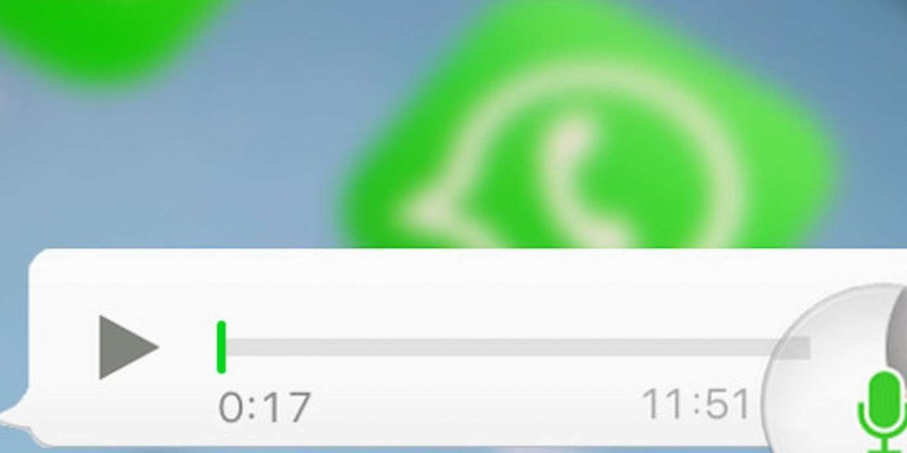 WhatsApp'ta asıl tehlike biyolojik datanın toplanması