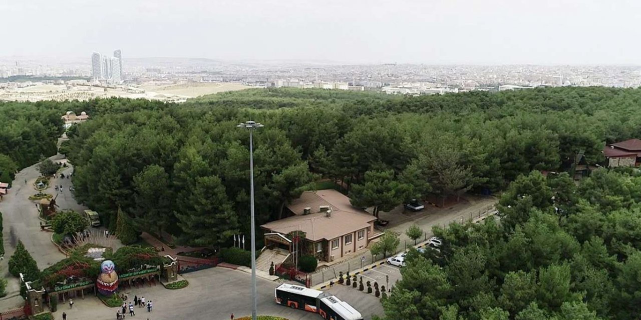 Pandemi sürecinde Gaziantep Hayvanat Bahçesinin ziyaretçi sayısı azaldı