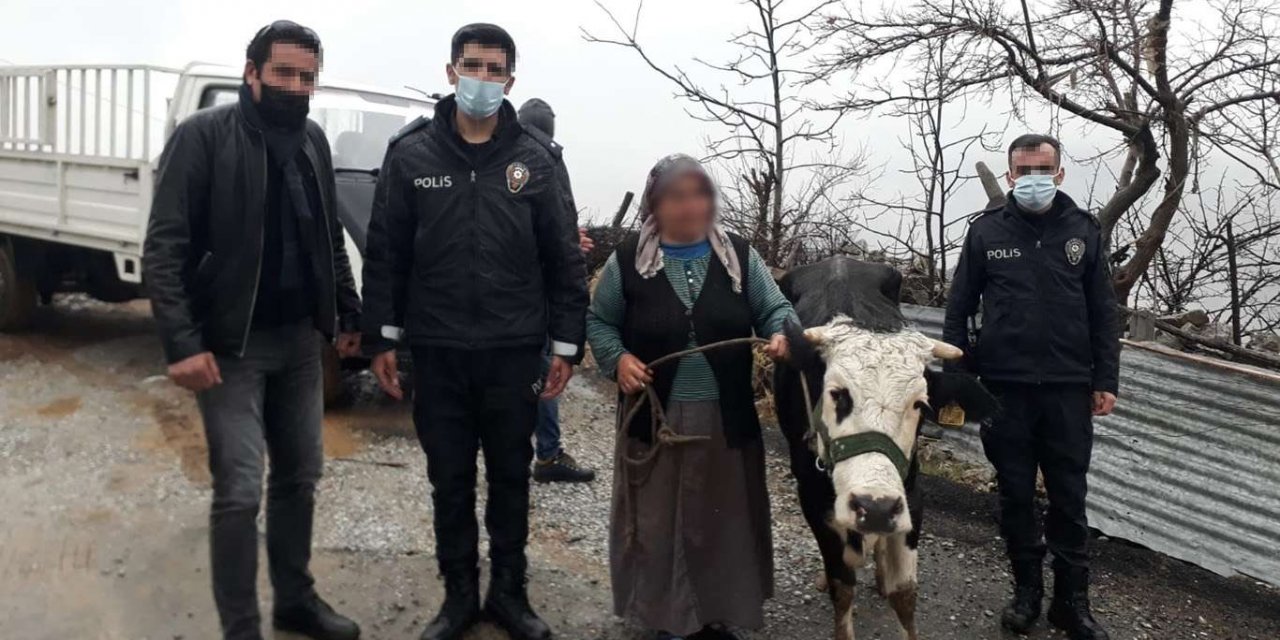 Yaşlı kadının geçim kaynağı olan ineği çalan hırsızlar yakalandı