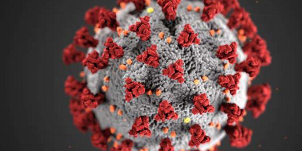 Almanya'da Covid-19 nedeniyle günlük ölü sayısı binin üzerinde seyrediyor