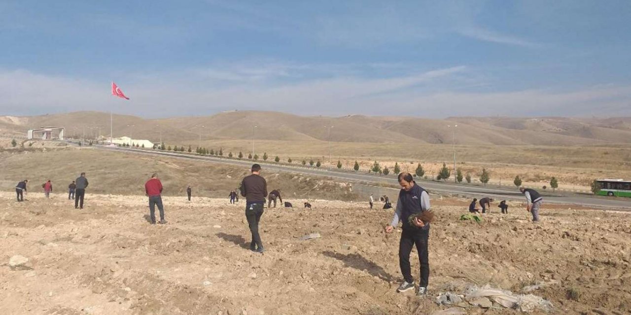 Covid-19’dan hayatını kaybeden sağlıkçılar adına lavanta bahçeleri oluşturuldu