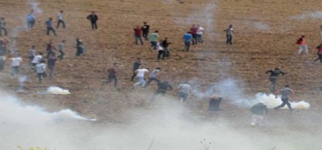 D.Ü'de 4 patlayıcı bulundu