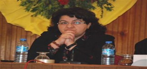 PKK/BDP'liler DÜ'deki olayı işte böyle çarpıtıyor!