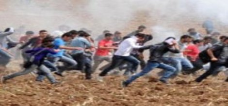 Dicle Olayları ve İslam Karşıtlığı